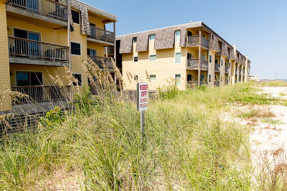 Beach Dunes Views 1