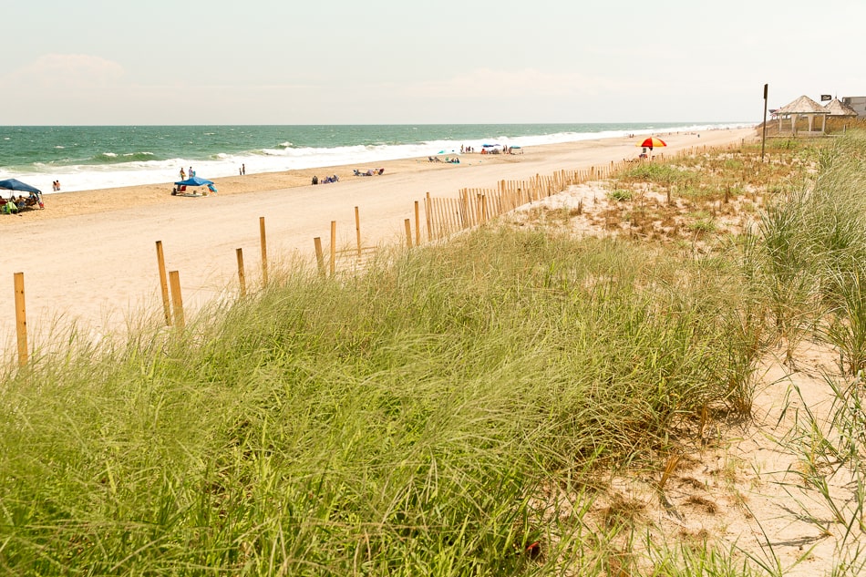 Beach Dunes Views 4