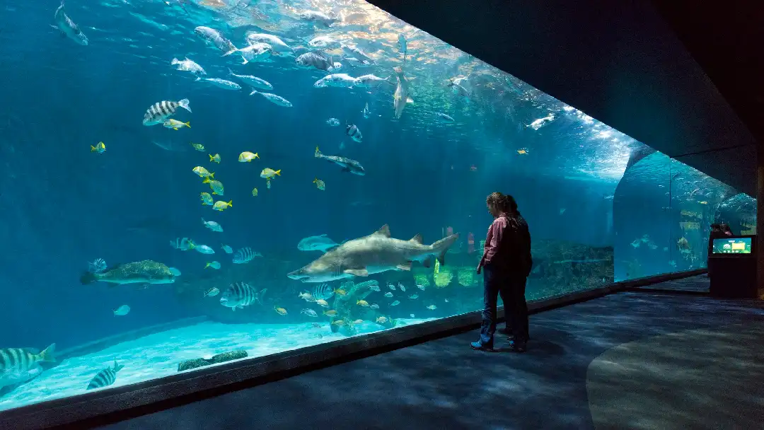 North Carolina Aquarium